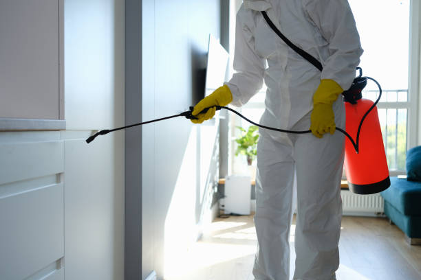 Reliable Warr Acres, OK Mold Remediation Solutions